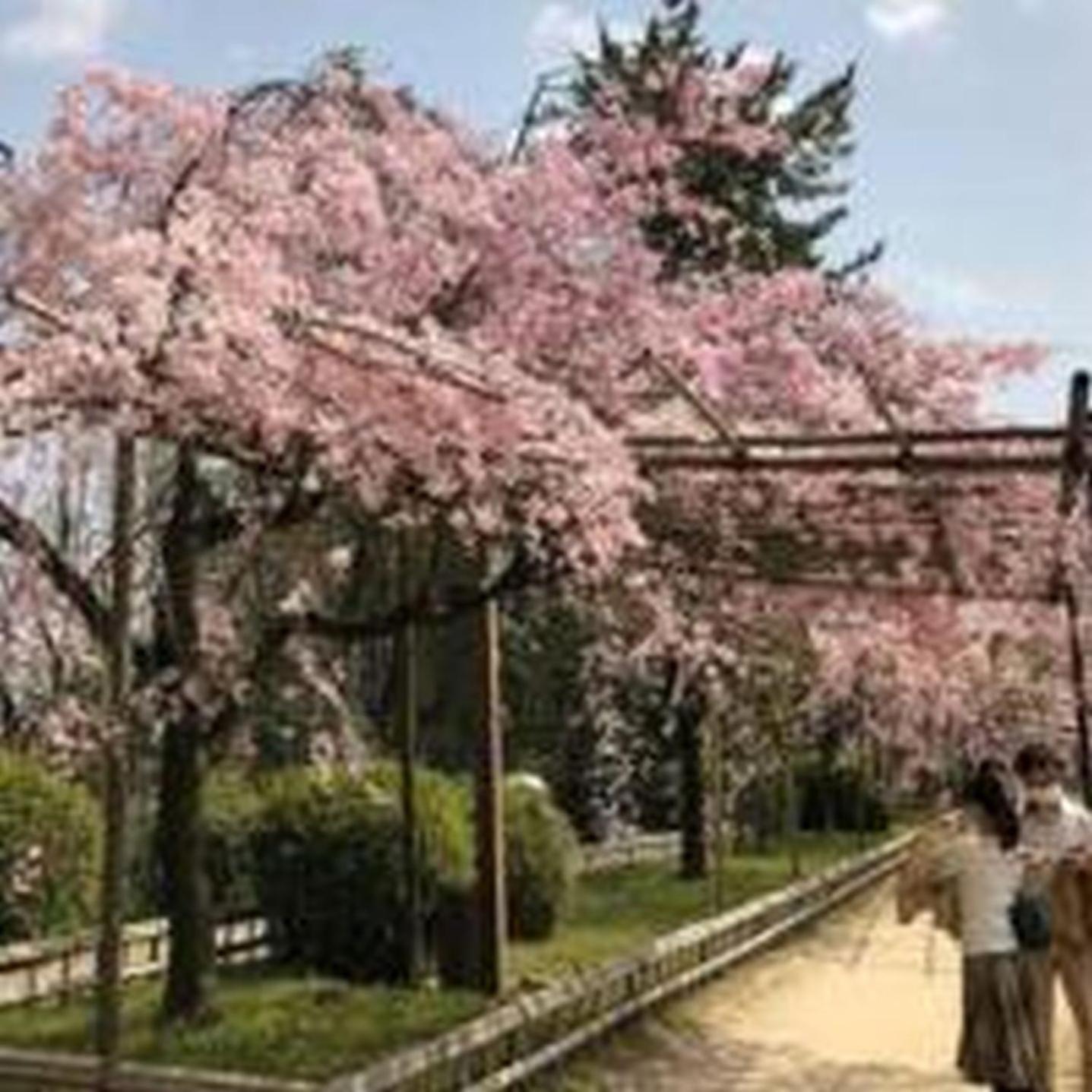 むつみ庵此花601 *