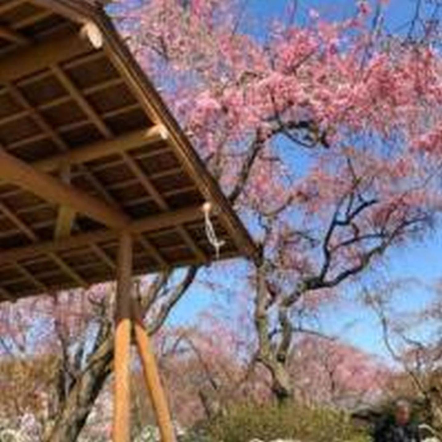 アパート むつみ庵此花601 大阪市